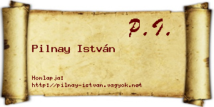 Pilnay István névjegykártya